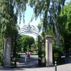 Out and About in Rugby: Five Outdoor Walks to Notice Nature with Your Child