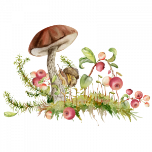 garden watercolour illustration for Blue Windmill Day Nursery garden watercolour illustration for Blue Windmill Day Nursery