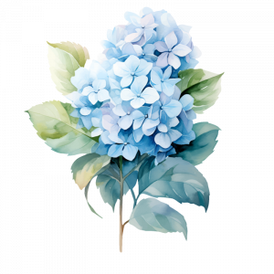 hygrangea illustration for the baby room hygrangea illustration for the baby room