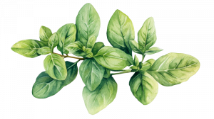 green leaves watercolour green leaves watercolour