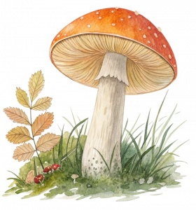 mushroom watercolour of garden mushroom watercolour of garden
