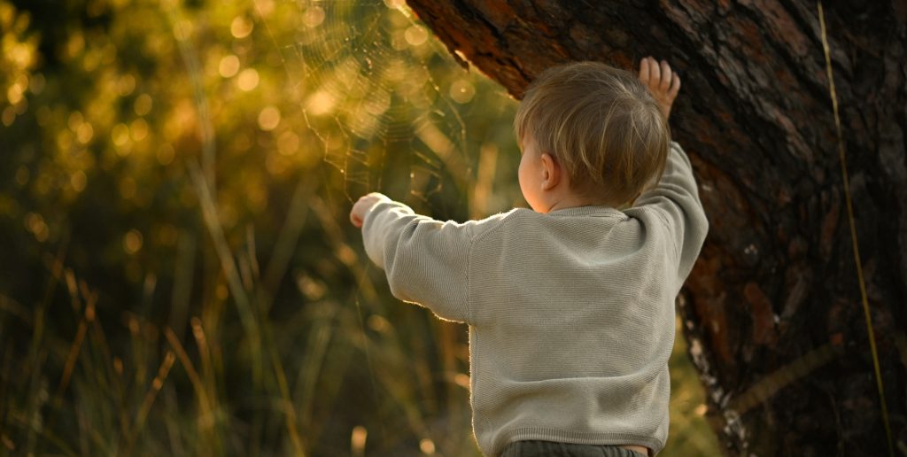 day nursery garden play zones at Blue Windmill in rugby day nursery garden play zones at Blue Windmill, Rugby