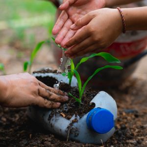 Outdoor Learning in the Early Years