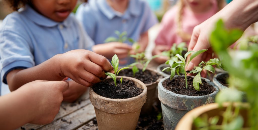 nursery life with children planting seeds at blue windmill day nursery nursery life with children planting seeds at blue windmill day nursery in Rugby