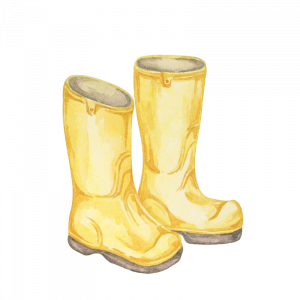 preschool wellies at blue windmill day nursery