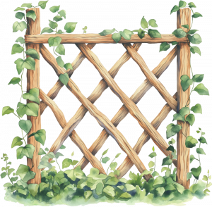 a wooden fence with ivy