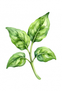 green leaves illustration for Blue Windmill Day Nursery in Rugby