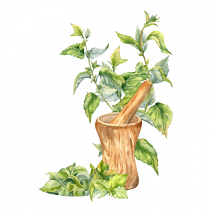 mud kitchen illustration for blue windmill day nursery in rugby mud kitchen illustration for blue windmill day nursery in rugby