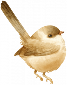 wren illustration for Blue Windmill Day Nursery baby garden wren illustration for Blue Windmill Day Nursery baby garden