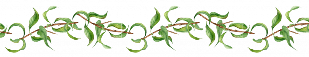 willow twigs at blue windmill day nursery