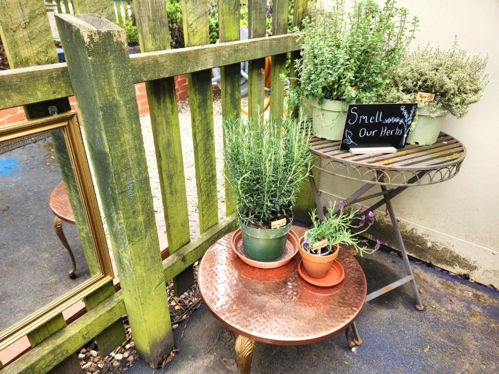 curiosity corner nursery rugby herb pots curiosity corner nursery rugby herb pots